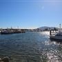 Bermagui