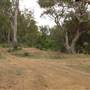 Whylandra Crossing, Dubbo