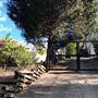 Woronora