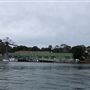 Goat Island