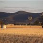 Narrabri Shire