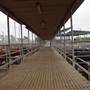 Dubbo Saleyards
