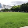 Pyrmont Bay Park