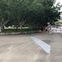 Pyrmont Bay Park