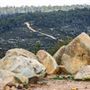 The Lost City