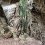 Mermaid's Cave