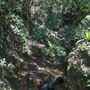 Minnamurra Rainforest Walk - Budderoo National Park