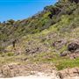 Mystics Beach (Minnamurra Beach) - Killalea State Park