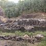 Clarrie Hall Dam