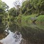 Coolamon Scenic Drive in the Byron Bay Hinterlands