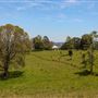 Coolamon Scenic Drive in the Byron Bay Hinterlands