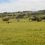 Coolamon Scenic Drive in the Byron Bay Hinterlands