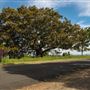 Coolamon Scenic Drive in the Byron Bay Hinterlands