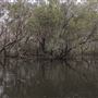 Cudgen Creek