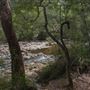 Minyon Falls - Nightcap National Park