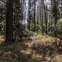 Jenolan State Forest