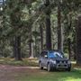 Jenolan State Forest