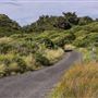 Bombo Headland Quarry