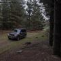 Douglas Fir Stand - Vulcan State Forest