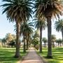 Tamworth