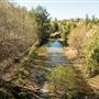 Tamworth