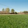 Tamworth