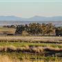 Tamworth
