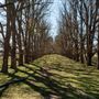 Armidale