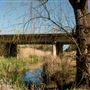 Quirindi