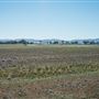Tamworth Regional Airport