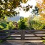 Mountain View Farm Tilba Tilba