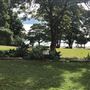 Greycliffe House and Gardens