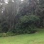 Strickland House - Sydney Harbour National Park