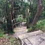 Nielsen Park