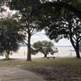 Nielsen Park