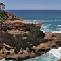 Munmorah State Conservation Area - Snapper Pt and Bongon Beach