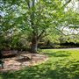 Camelia Gardens