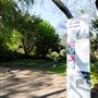 Camelia Gardens