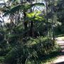 Trumper Park