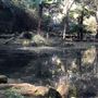 Trumper Park