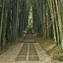 Crystal Castle - Bamboo Avenue