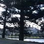 Kiama