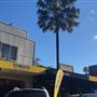 Kiama