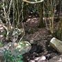 Otford Farm - Paintball Property