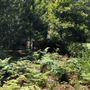 Otford Farm - Paintball Property