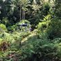 Otford Farm - Paintball Property