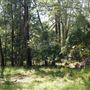 Otford Farm - Jungle Set Build Site