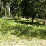 Otford Farm - Jungle Set Build Site