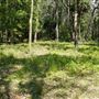 Otford Farm - Jungle Set Build Site