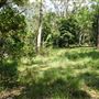 Otford Farm - Jungle Set Build Site